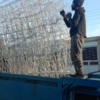 حفاظ شاخ گوزنی