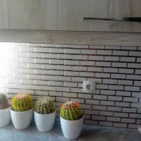 کاشی وسرامیک کاری|خدمات پیشه و مهارت|جاجرود, |دیوار