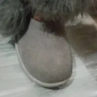 کفش و لباس دخترانه|کفش و لباس بچه|شیراز, فرگاز|دیوار