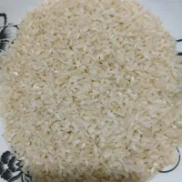 برنج کامفیروزی درجه یک به شرط پخت