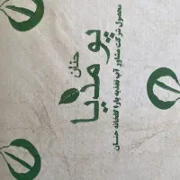 خاک‌گل و گلخانه