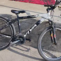 دوچرخه حرفه ای