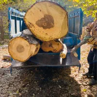 مرکز خرید وفروش چوب «نقدی»|خدمات باغبانی و درختکاری|آشخانه, |دیوار