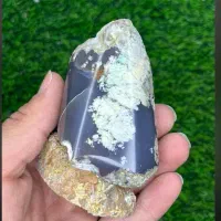 زیبا کلکسیونی