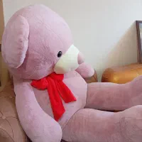 خرس دومتری بزرگ ولنتاین