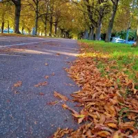 کسی هست فردا بخواد بره تهران