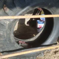 تراکتور لاستیک بزرگ|خودرو سنگین|گیلان غرب, |دیوار