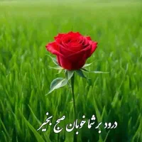 درخواست سرویس از کوی آزادگان به 218 ناحیه