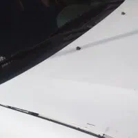 راننده خانم
