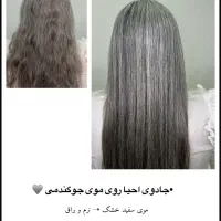 پکیج های زیبایی با تخفیف«لاین احیا مو و فیشال»|خدمات آرایشگری و زیبایی|بندرعباس, |دیوار