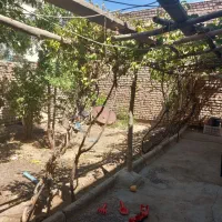 فروش خانه ویلایی300متری بیمارستان قدیم دستجرد6|فروش خانه و ویلا|قائن, |دیوار