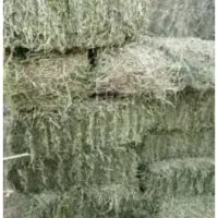 یونجه‌پرس‌انباری