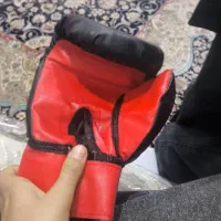 دستکش بوکس|تجهیزات ورزشی|ری, علایین|دیوار