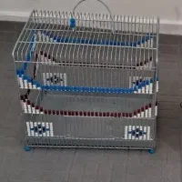 فروش قفس پرنده