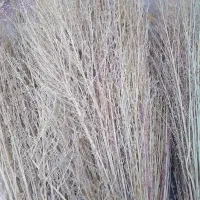 جارو پیشی|لوازم نظافت|زاغه, |دیوار