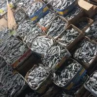 پخش ذغال پسته به تولید