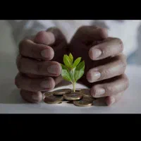 سرمایه گذاری و مشارکت