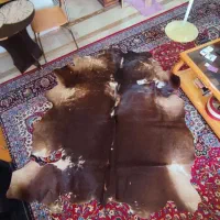 فرش دکوری پوست گاو سالم