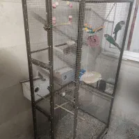 قفس پرنده بزرگ دست‌ساز با چرخ و امکانات کامل
