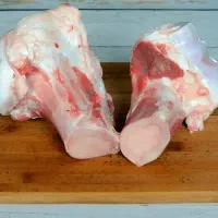 قلم گوساله جوان قلم آبی