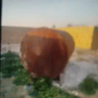 تانکر کاملا سالم بدون پوسیدگی|مصالح و تجهیزات ساختمان|قرچک, مهدیه|دیوار