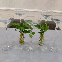 جام بلند زیبا