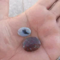 نگین شجر|کلکسیون اشیاء عتیقه|رفسنجان, |دیوار