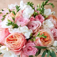 برای امور نظافت و کارهای خدماتی تماس بگیرید