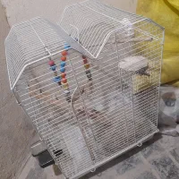 قفس پرنده بزرگ