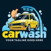 همکار کارواش