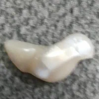 عقیق عتیقه به شکل پرنده|جواهرات|قم, نیروگاه|دیوار