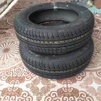 لاستیگ کویر رینگ ۱۵