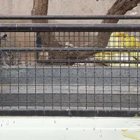 باربند پیکان