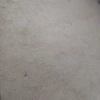 موکت پالاز