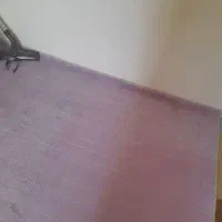 پالاز موکت|موکت|بجنورد, |دیوار