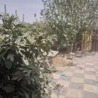 اجاره چهار دیواری تجاری