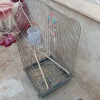 یک عدد قفس بزرگ به همراه یک عدد لونه