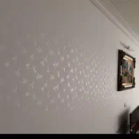 رنگ کاری ونقاشی|خدمات پیشه و مهارت|املش, |دیوار