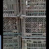 سبد درجه یک