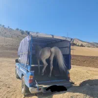 اسبکش اسب کش