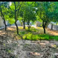 زمین-ساخت-از-فردا-بساز-پشت-پارک-نور