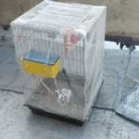 قفسه پرنده   اندازه یک متر در ۷۰  ویک قفسه کوچک