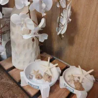 جا شمعی و شمع پودری