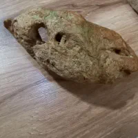 سنگ اکواریوم حفره دار