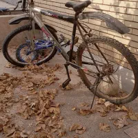 دو عدد دوچرخه 26و20