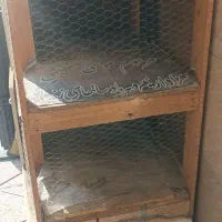 جای مرغ دو طبقه همراه سه عدد مرغ|حیوانات مزرعه|اسلام‌شهر, شهرک مهدیه|دیوار