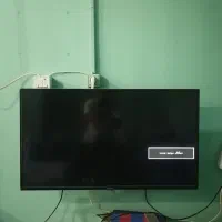 تلوزیون
