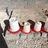 دونخوری و آبخوری|لوازم جانبی حیوانات|کبودرآهنگ, |دیوار