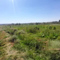دوقطعه زمین کشاورزی آبی