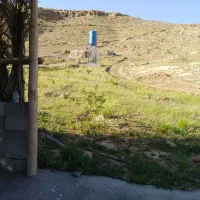 فوق‌العاده و  ویژه